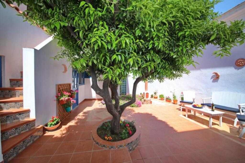 Philoxenia Guest House Skopelos Town Bagian luar foto