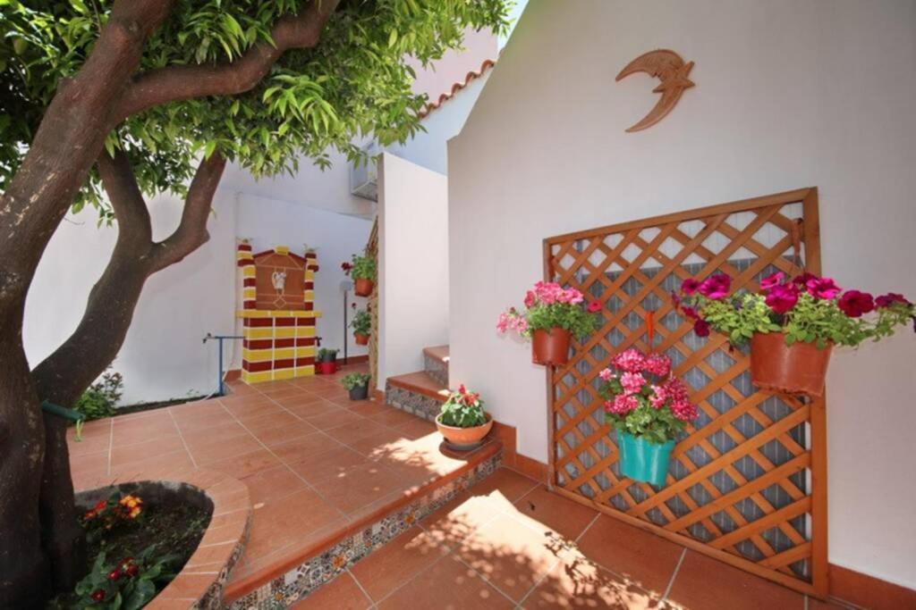 Philoxenia Guest House Skopelos Town Bagian luar foto